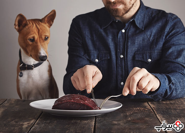 تغذیه سگ با گوشت خام