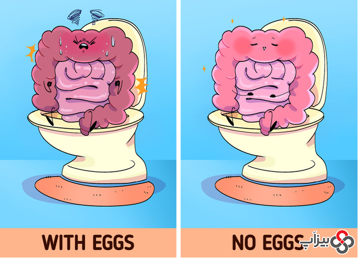 مصرف تخم‌ مرغ می‌ تواند باعث یبوست شود