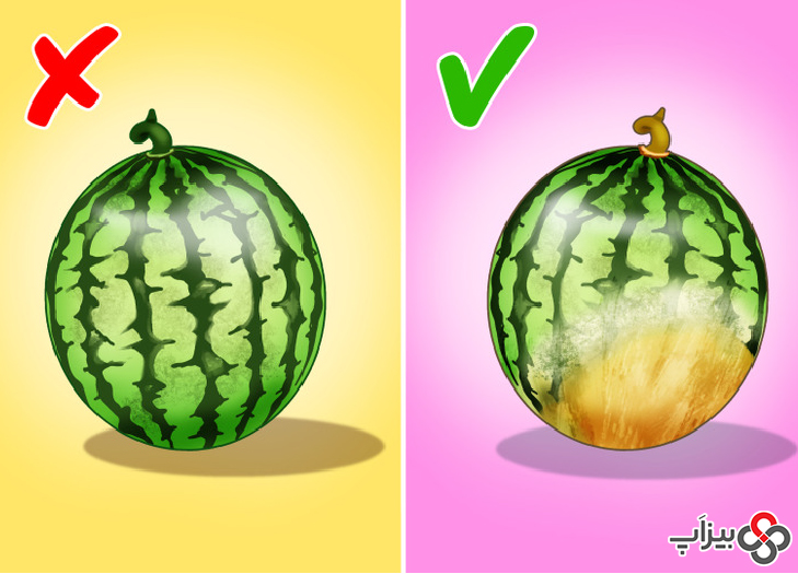 3. چگونه بهترین هندوانه را انتخاب کنیم