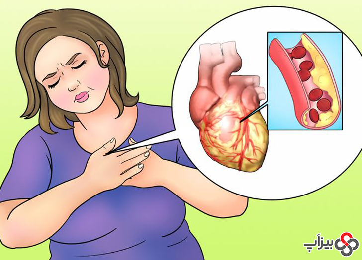 ارتباط بین فلور روده و رفتار سیستم قلبی عروقی