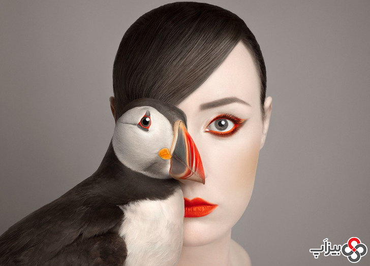 پرتره های جالب از ترکیب صورت انسان و حیوان - پنگوئن