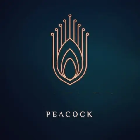 گالری لباس پیکاک | peacock clothing gall