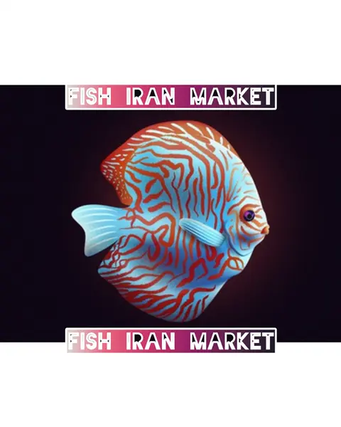 فروش لوازم آکواریومfish_iran_market